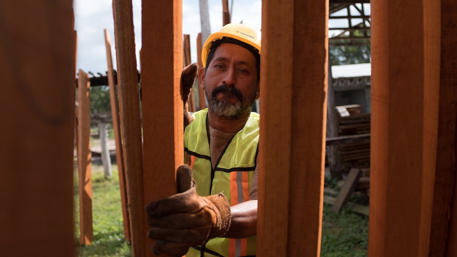 Cooperativas