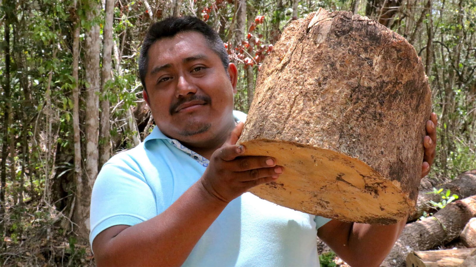 Selva Maya Miel