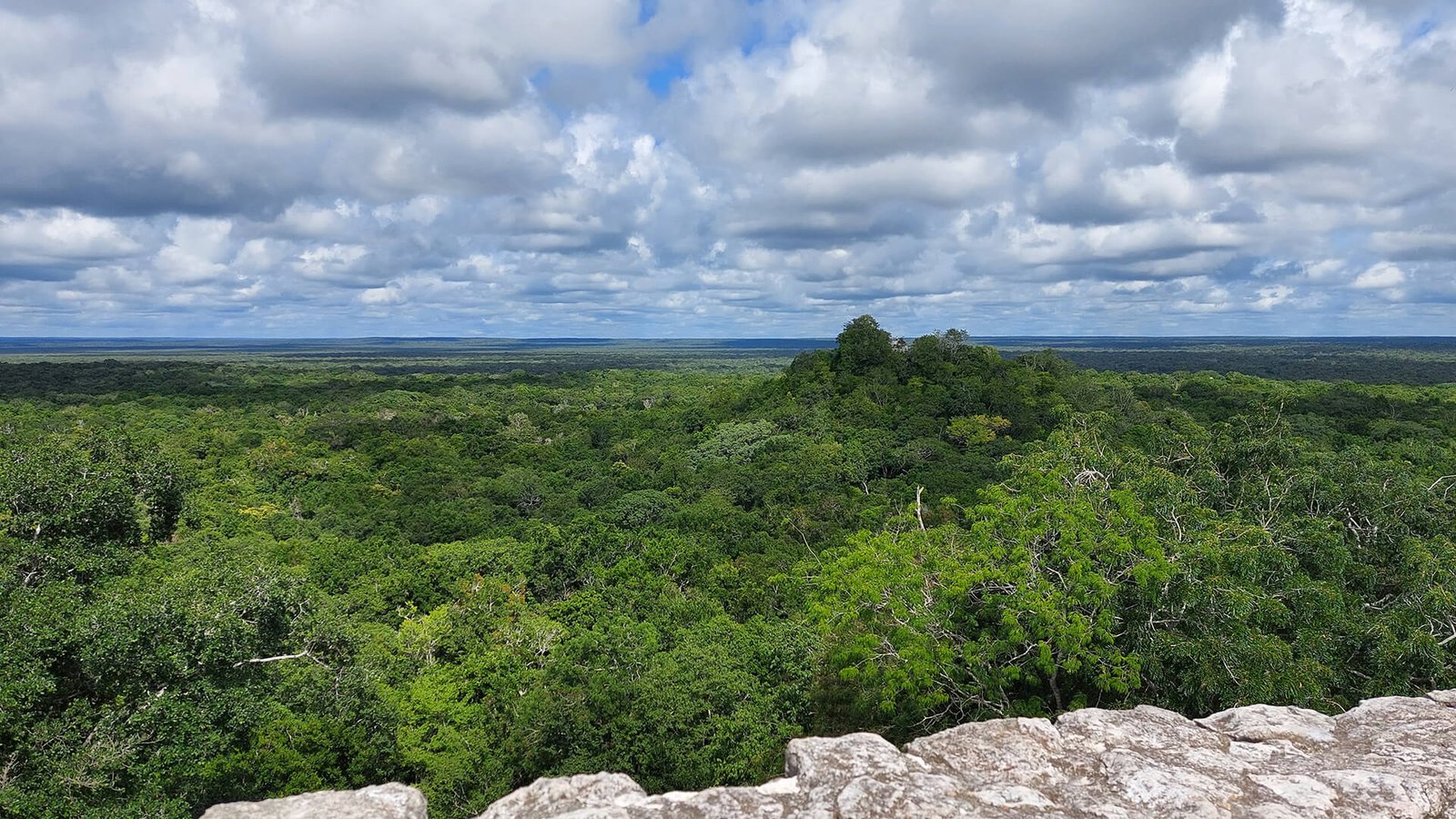 Amanecer en la selva